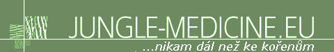 Primary Raster logo